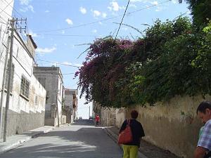 ORAN - RUE DE FRANCHE COMTE (2)